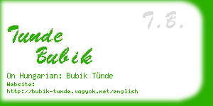 tunde bubik business card
